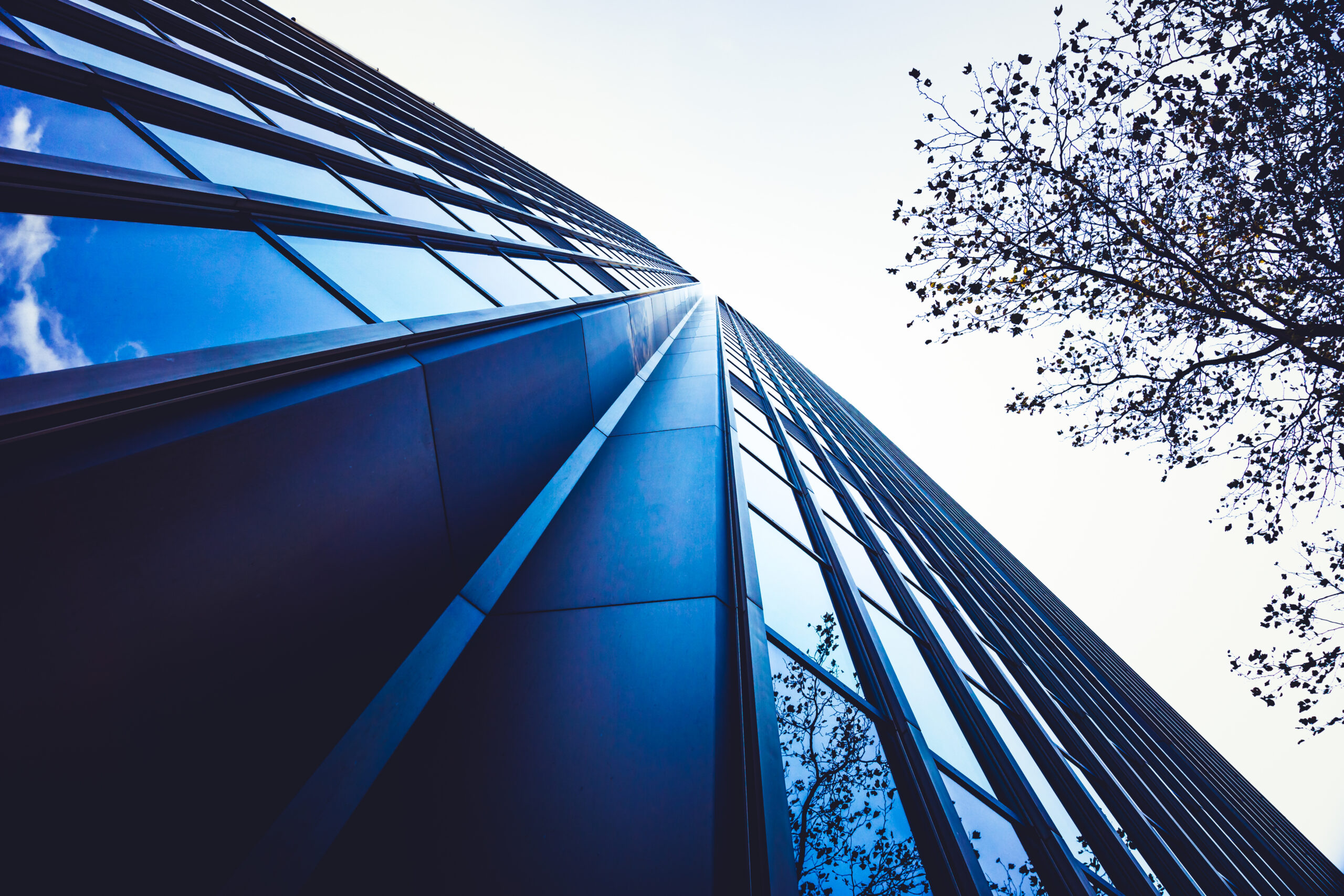 Understanding Exempt Private Company